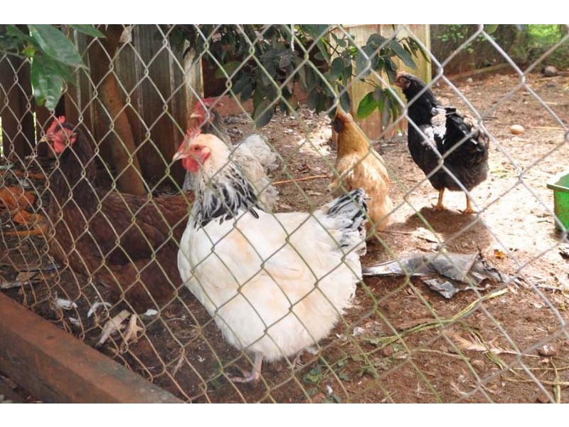 78 Eagle Heights Road, Eagle Heights QLD 4271