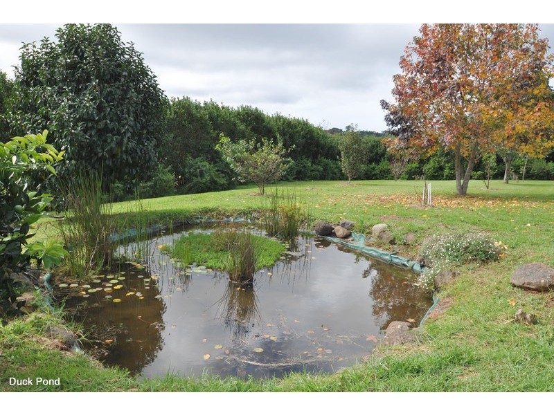 46 Main Western Road, North Tamborine QLD 4272