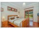 419 Main Western Road, Tamborine Mountain QLD 4272