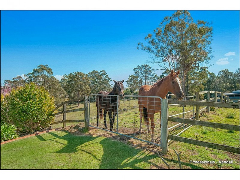 419 Main Western Road, Tamborine Mountain QLD 4272