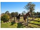 419 Main Western Road, Tamborine Mountain QLD 4272