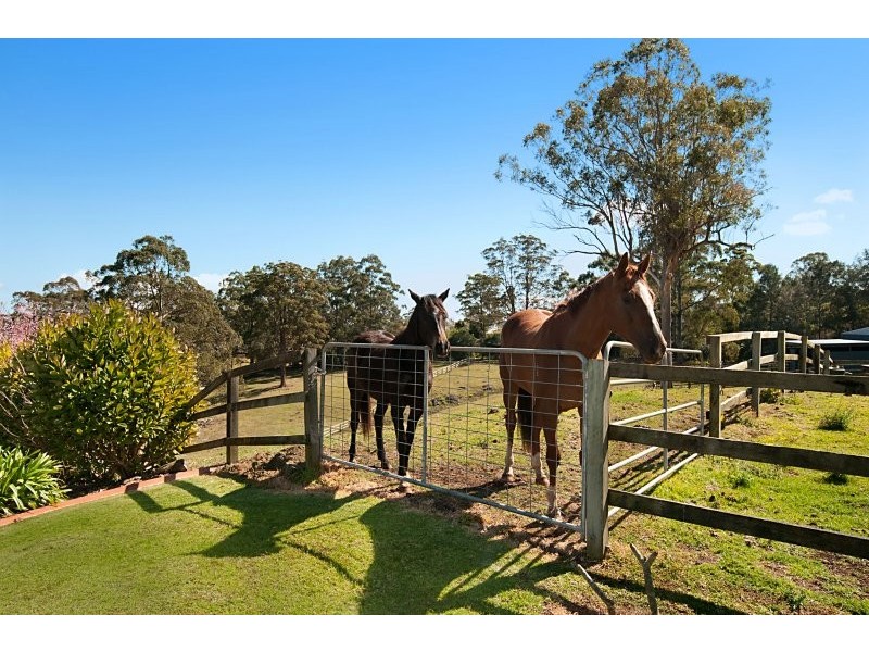 419 Main Western Road, Tamborine Mountain QLD 4272