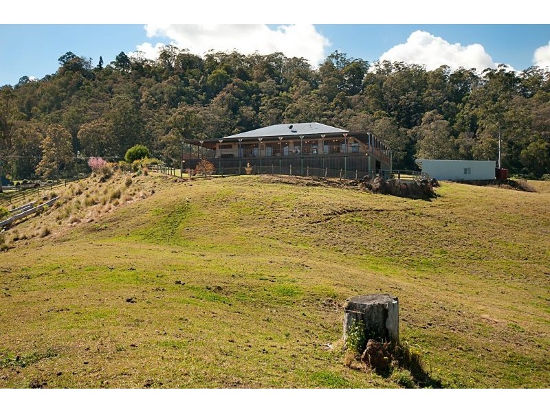 419 Main Western Road, Tamborine Mountain QLD 4272