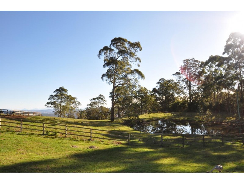 419 Main Western Road, Tamborine Mountain QLD 4272