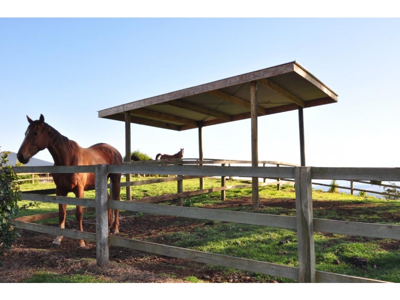 419 Main Western Road, Tamborine Mountain QLD 4272