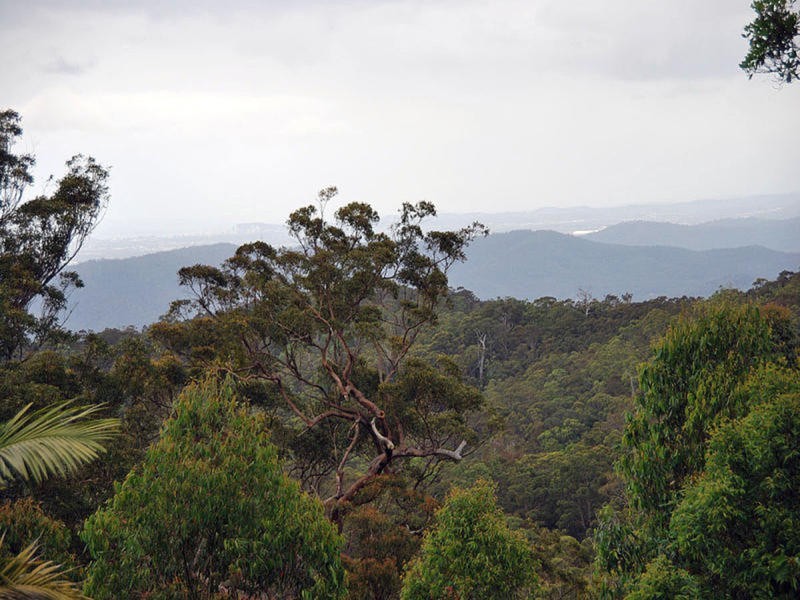 163 Wongawallan Road, Tamborine Mountain QLD 4272