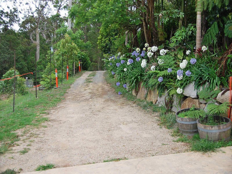 163 Wongawallan Road, Tamborine Mountain QLD 4272