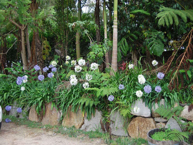 163 Wongawallan Road, Tamborine Mountain QLD 4272