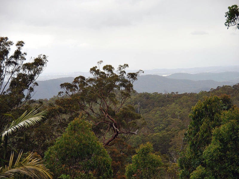 163 Wongawallan Road, Tamborine Mountain QLD 4272