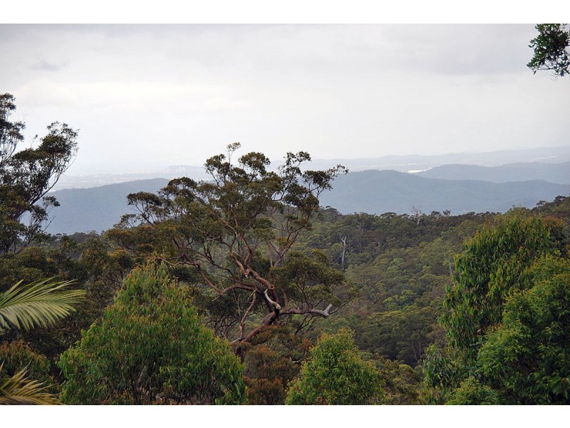 163 Wongawallan Road, Tamborine Mountain QLD 4272