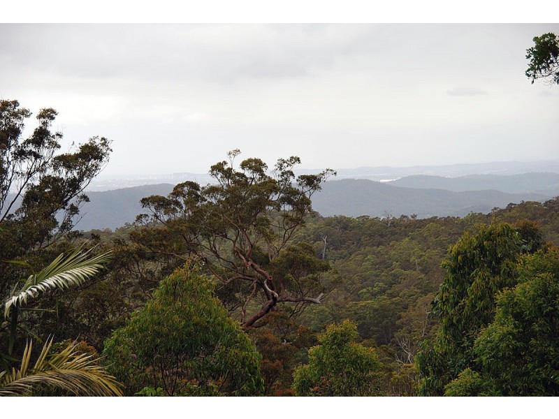 163 Wongawallan Road, Tamborine Mountain QLD 4272