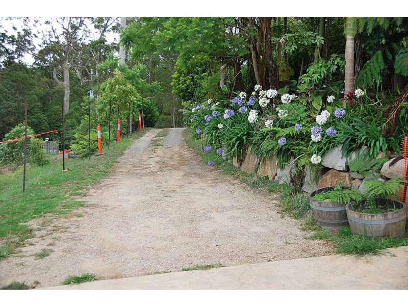 163 Wongawallan Road, Tamborine Mountain QLD 4272