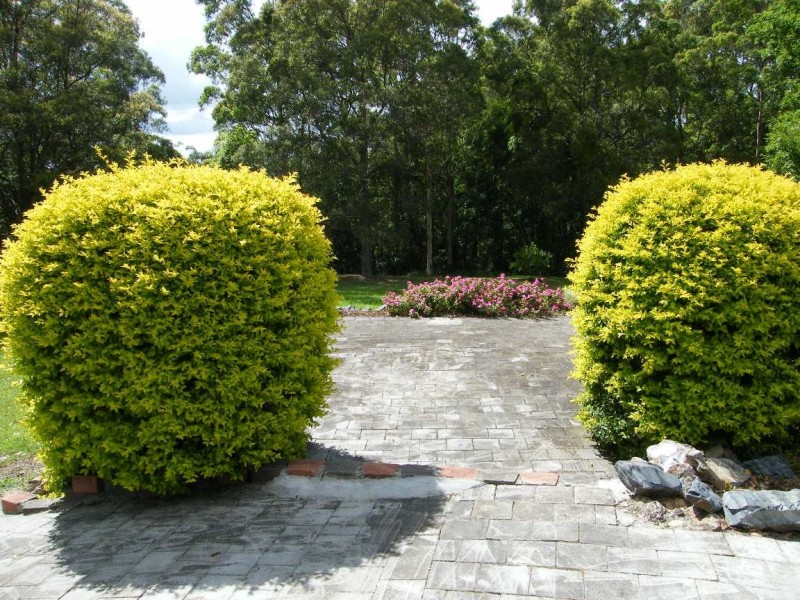592 Henri Robert Drive, Tamborine Mountain QLD 4272