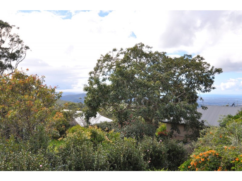 40 Paradise Drive, Eagle Heights QLD 4271