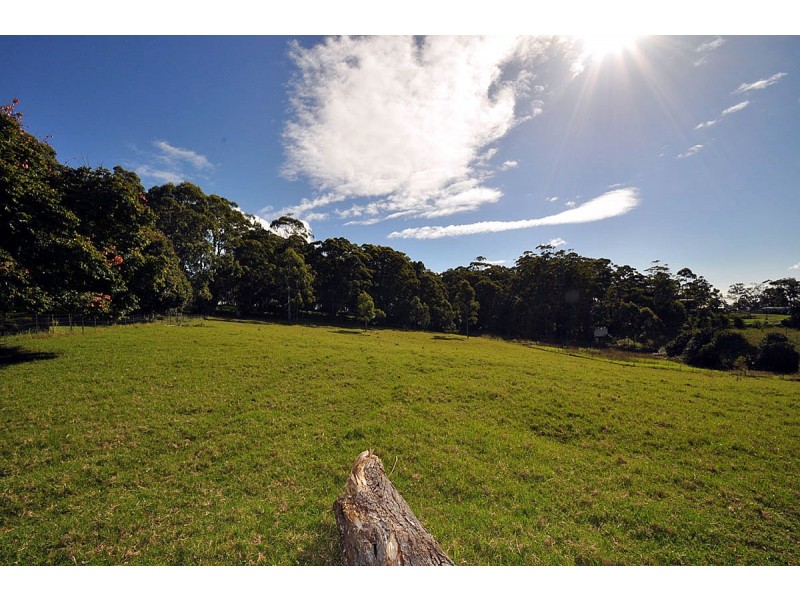 50 Lahey’s Lookout Road, Tamborine Mountain QLD 4272
