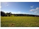 50 Lahey’s Lookout Road, Tamborine Mountain QLD 4272