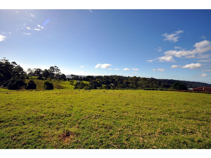 50 Lahey’s Lookout Road, Tamborine Mountain QLD 4272