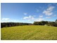 50 Lahey’s Lookout Road, Tamborine Mountain QLD 4272