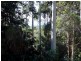 82 Contour Road, Eagle Heights QLD 4271