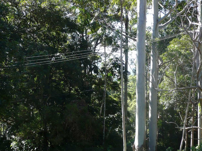 82 Contour Road, Eagle Heights QLD 4271