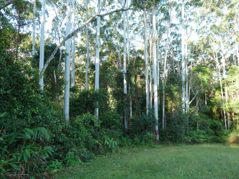 65-67 Kootenai Drive, North Tamborine QLD 4272