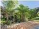 49 Benowa Street, Tamborine Mountain QLD 4272