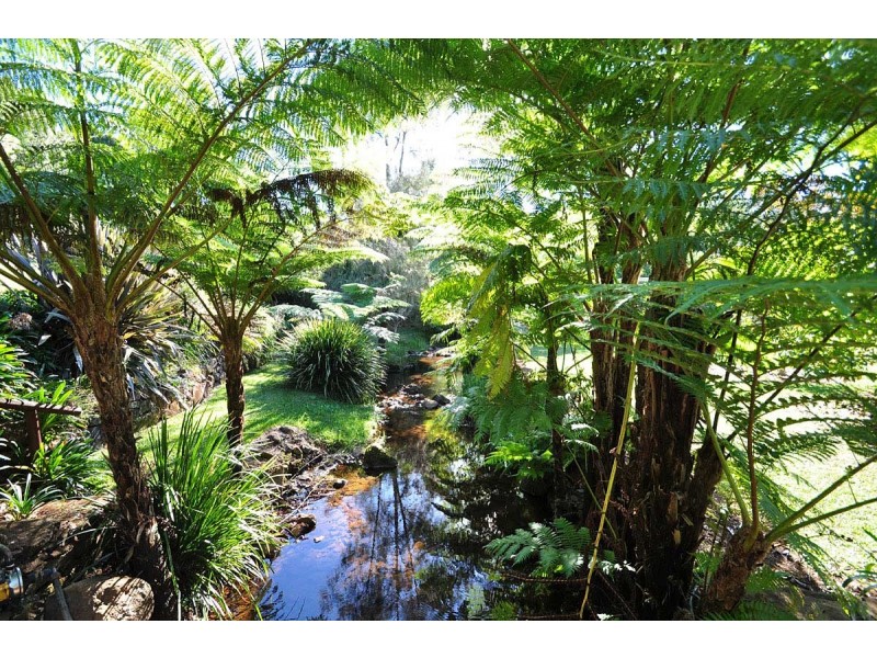 49 Benowa Street, Tamborine Mountain QLD 4272