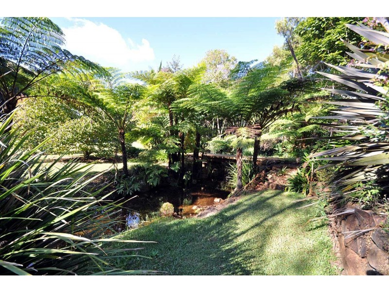 49 Benowa Street, Tamborine Mountain QLD 4272