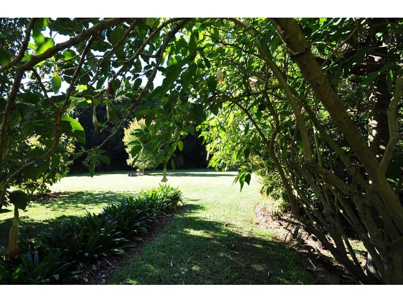 49 Benowa Street, Tamborine Mountain QLD 4272