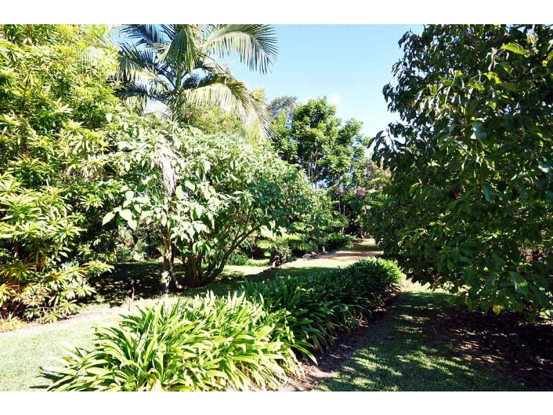 49 Benowa Street, Tamborine Mountain QLD 4272