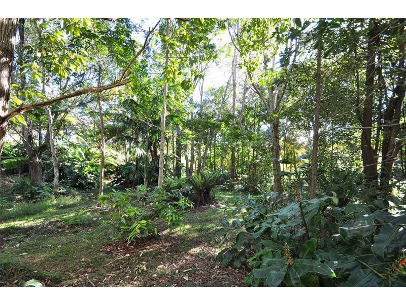 49 Benowa Street, Tamborine Mountain QLD 4272