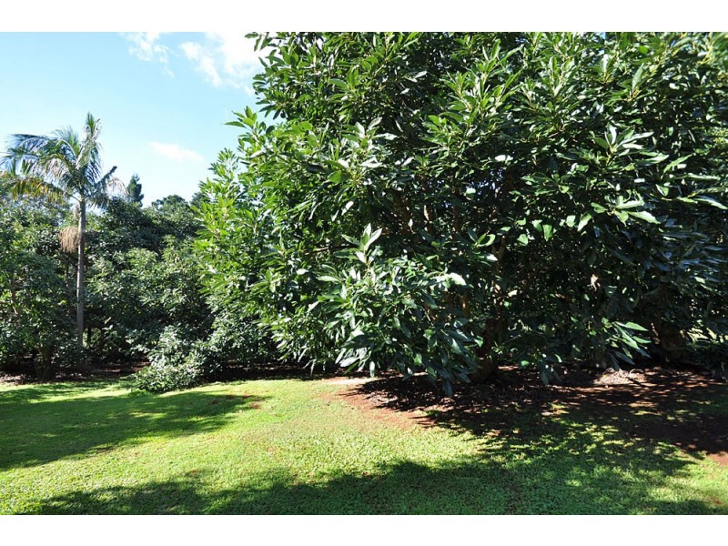 7-13 Alpine Terrace, Tamborine Mountain QLD 4272