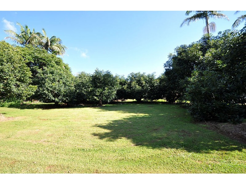 7-13 Alpine Terrace, Tamborine Mountain QLD 4272