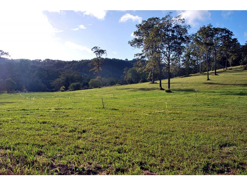 Lot 78 Timberview Estate, Wongawallan QLD 4210
