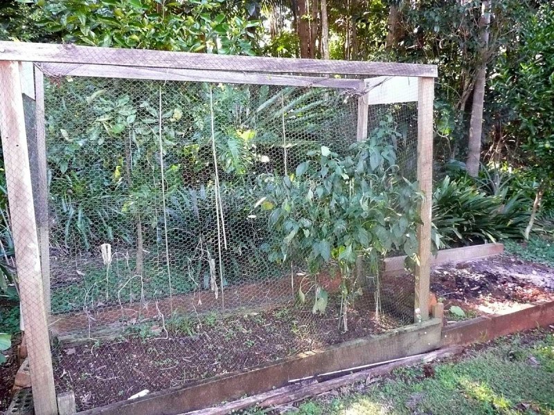 2 Cocos Street, Tamborine Mountain QLD 4272