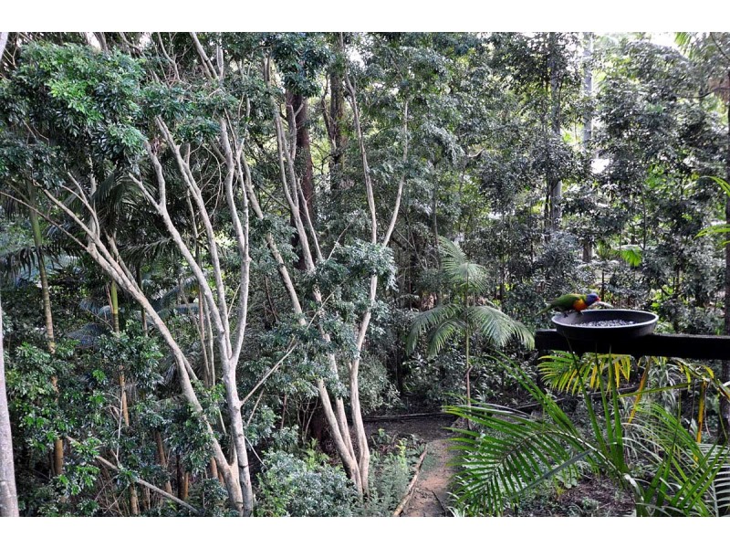 4 Orchis Drive, Eagle Heights QLD 4271