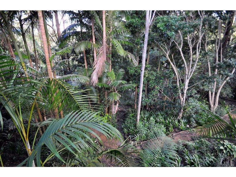 4 Orchis Drive, Eagle Heights QLD 4271