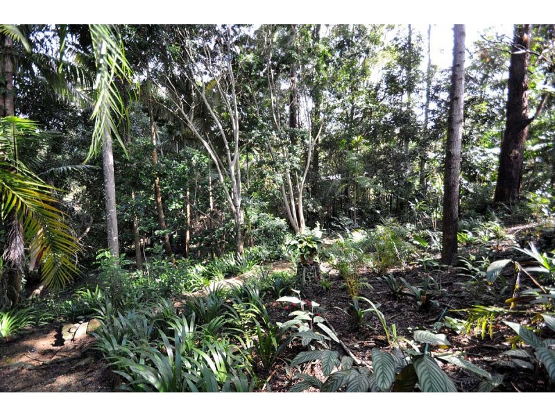 4 Orchis Drive, Eagle Heights QLD 4271