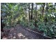 4 Orchis Drive, Eagle Heights QLD 4271