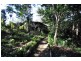 4 Orchis Drive, Eagle Heights QLD 4271
