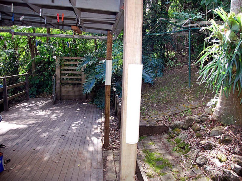 29 Forsythia Drive, Eagle Heights QLD 4271