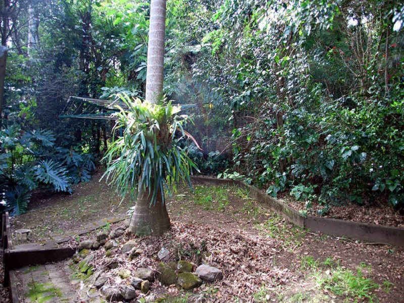 29 Forsythia Drive, Eagle Heights QLD 4271