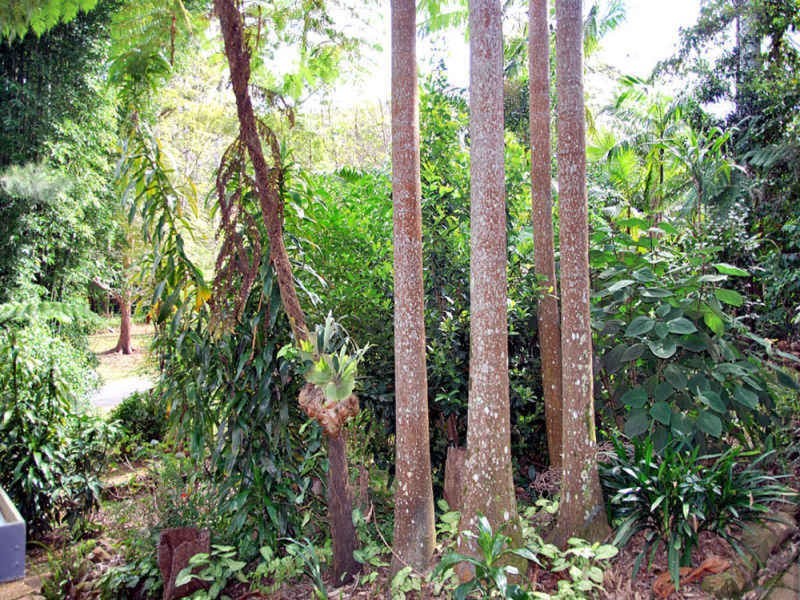 29 Forsythia Drive, Eagle Heights QLD 4271