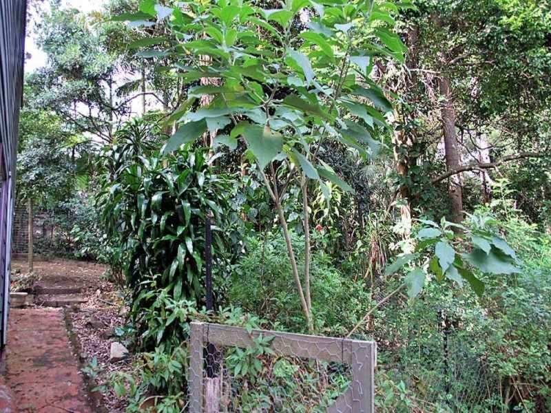 29 Forsythia Drive, Eagle Heights QLD 4271