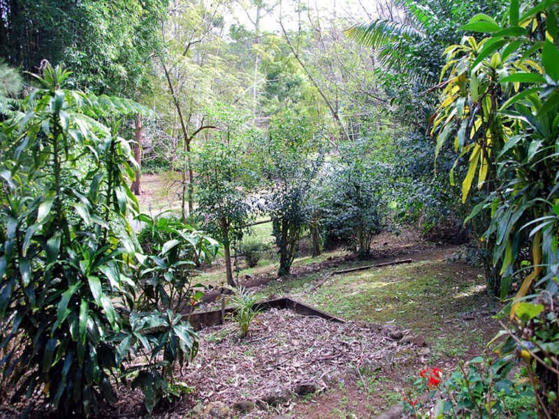 29 Forsythia Drive, Eagle Heights QLD 4271