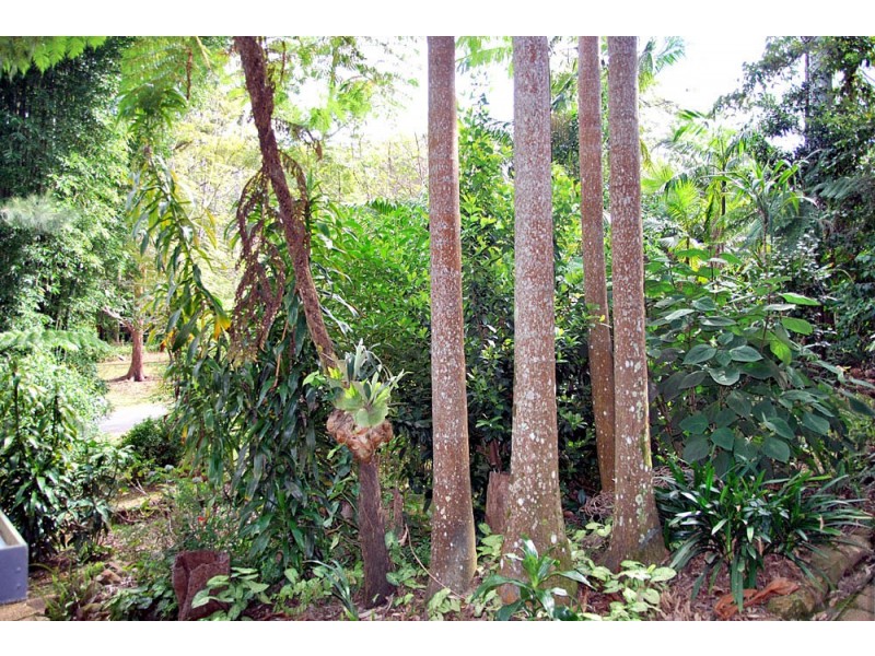 29 Forsythia Drive, Eagle Heights QLD 4271