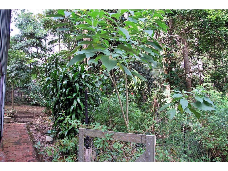 29 Forsythia Drive, Eagle Heights QLD 4271