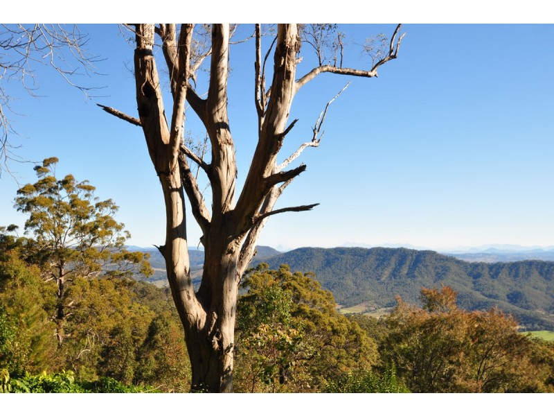 687-689 Main Western Road, Tamborine Mountain QLD 4272