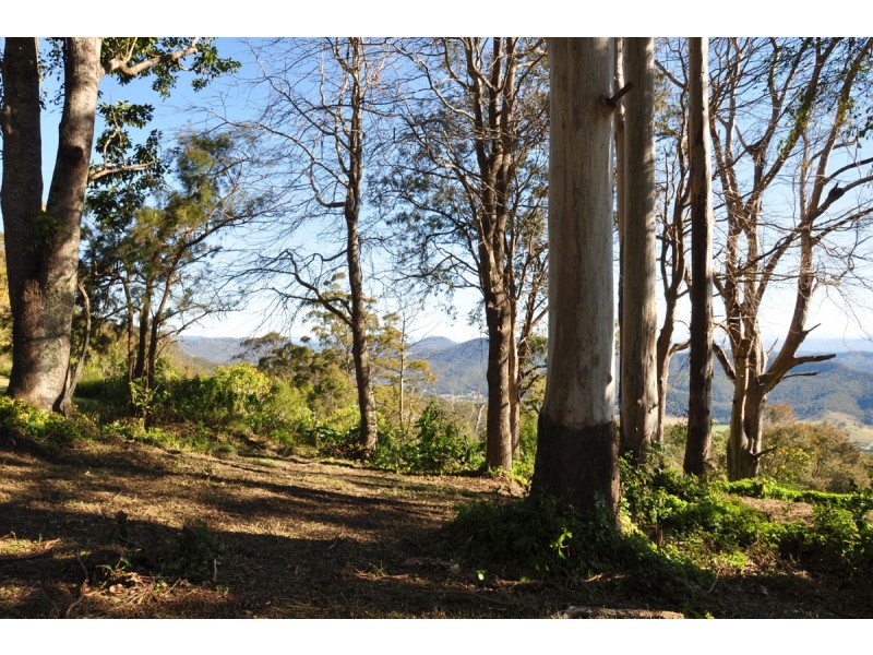 687-689 Main Western Road, Tamborine Mountain QLD 4272