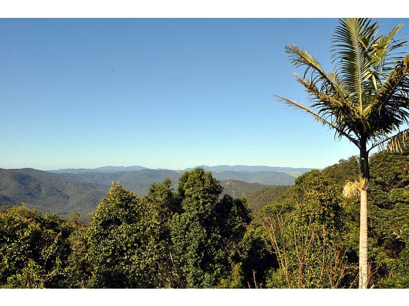 3-13 Golf Course Road, Tamborine Mountain QLD 4272